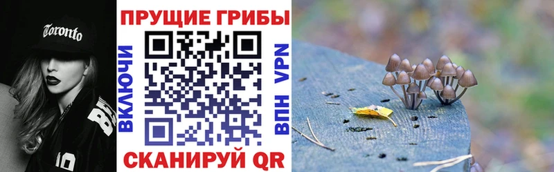 Галлюциногенные грибы Cubensis  дарнет шоп  Белый 